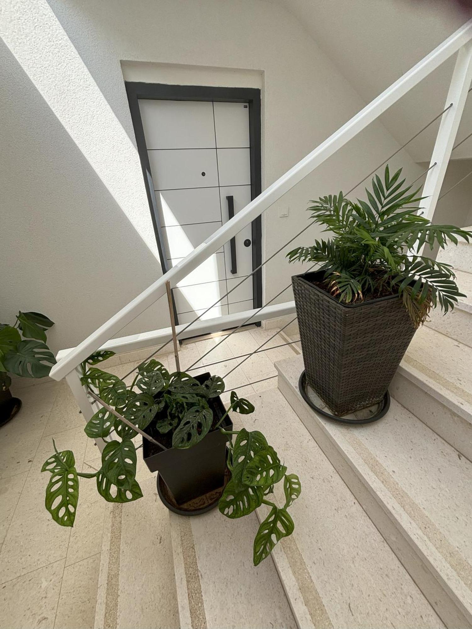 Vila Regina Apartment Paloma With Swimming Pool Jezera Bagian luar foto
